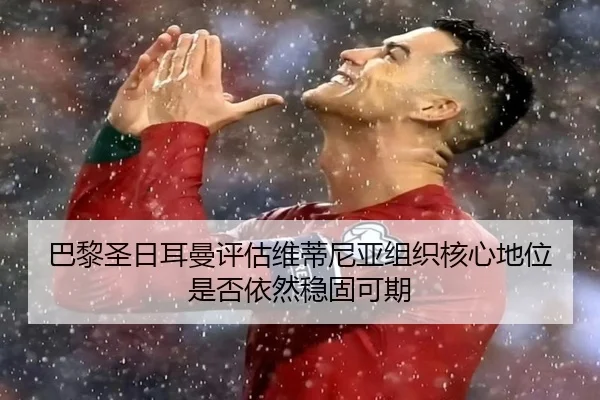 ba-li-sheng-ri-er-man-ping-gu-wei-di-ni-ya-zu-zhi-he-xin-di-wei-shi-fou-yi-ran-wen-gu-ke-qi-2-572.jpg